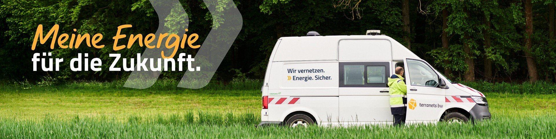 terranets bw GmbH-cover-image